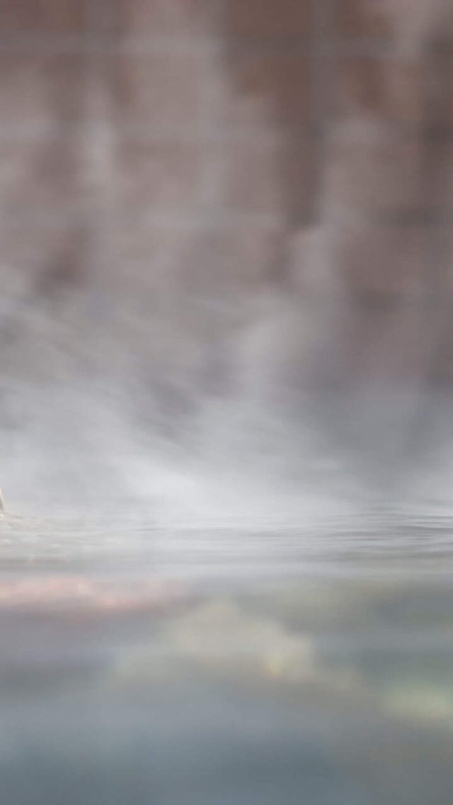 小金湯100%を、全身で。