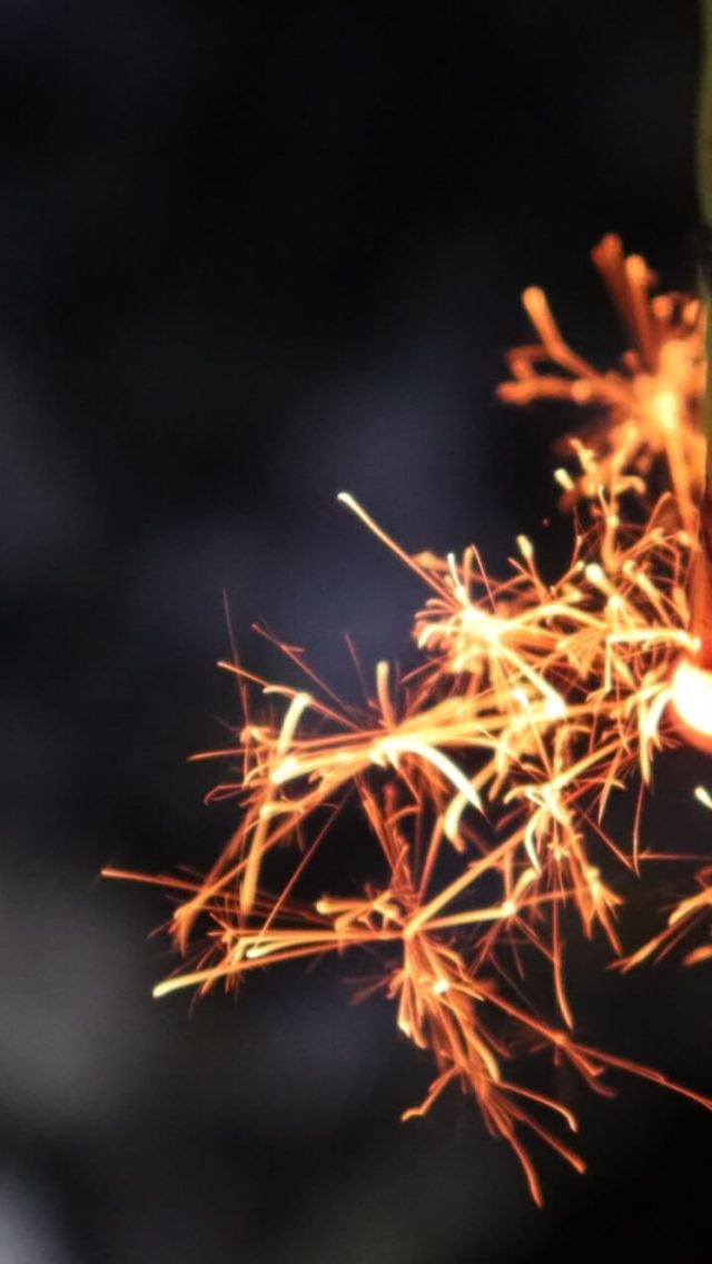 冬花火の愉しみ